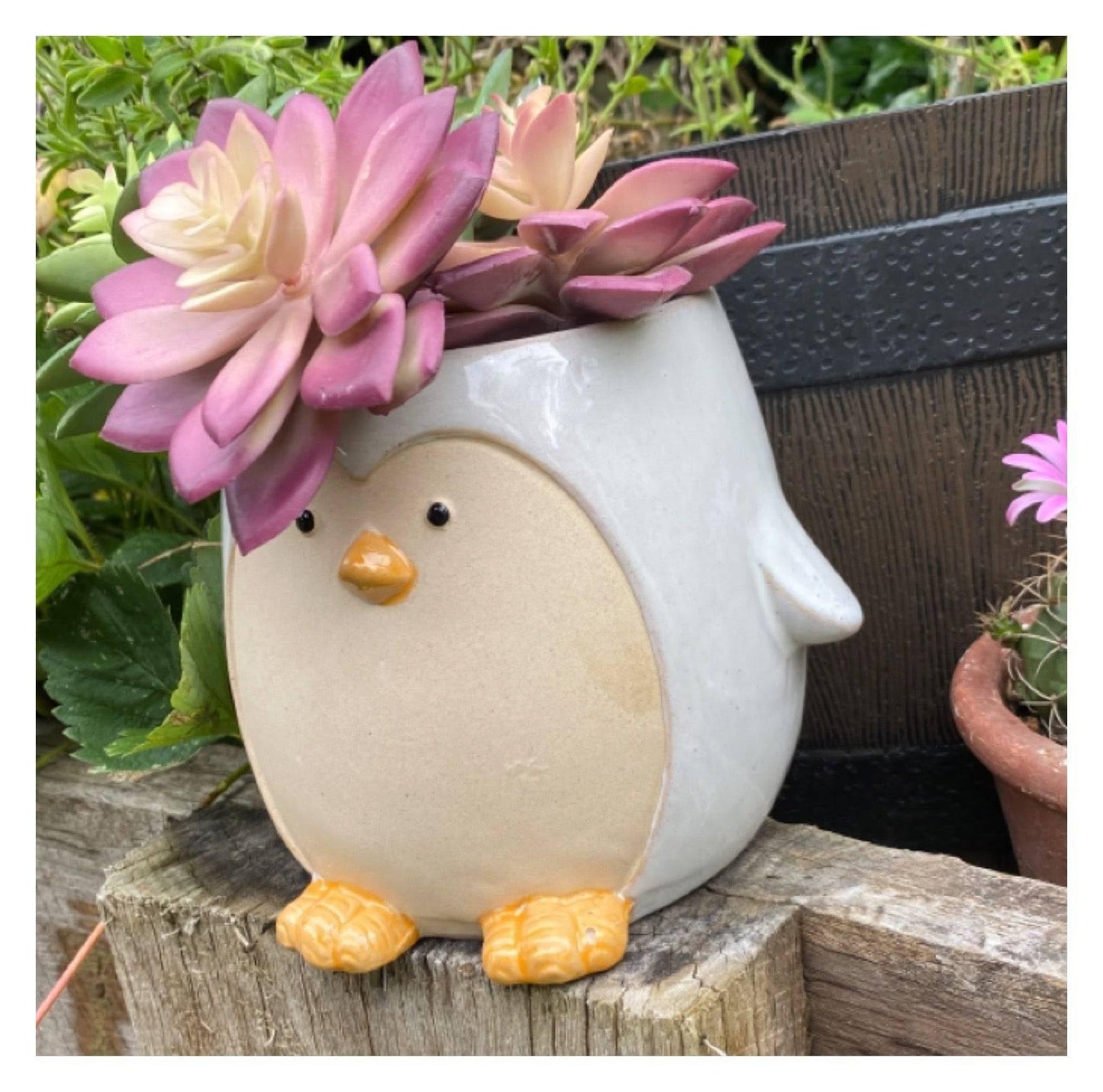 Penguin Happy Plant Pot Planter Garden - The Renmy Store Homewares & Gifts 