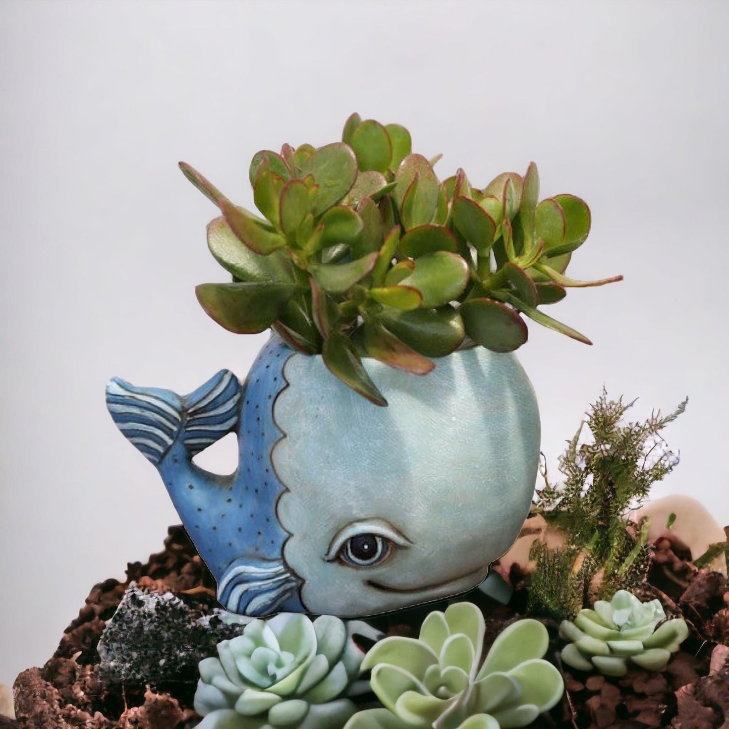 Whale Funky Pot Planter Large - The Renmy Store Homewares & Gifts 