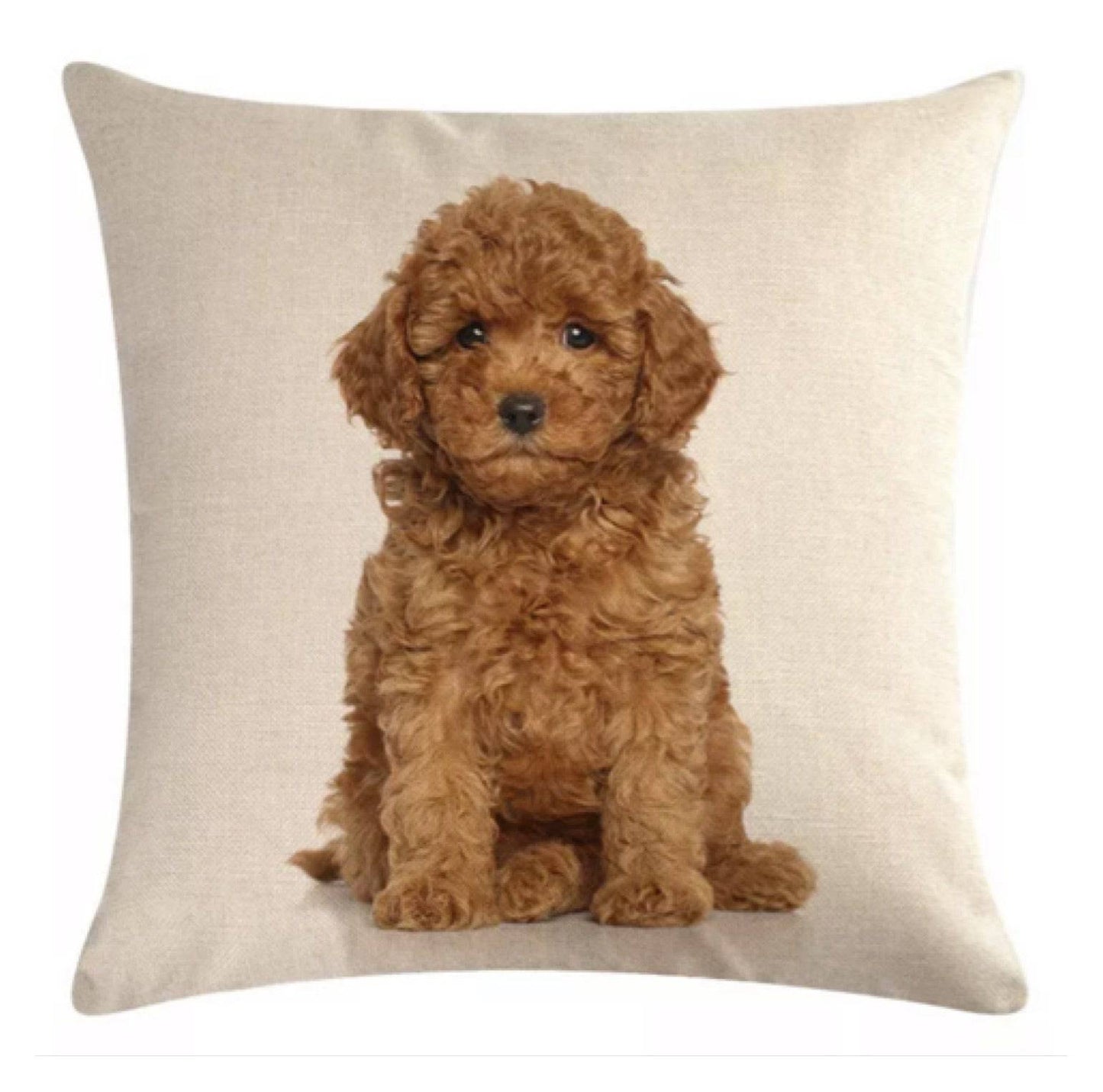 Cushion Pillow Dog Little Duke - The Renmy Store Homewares & Gifts 