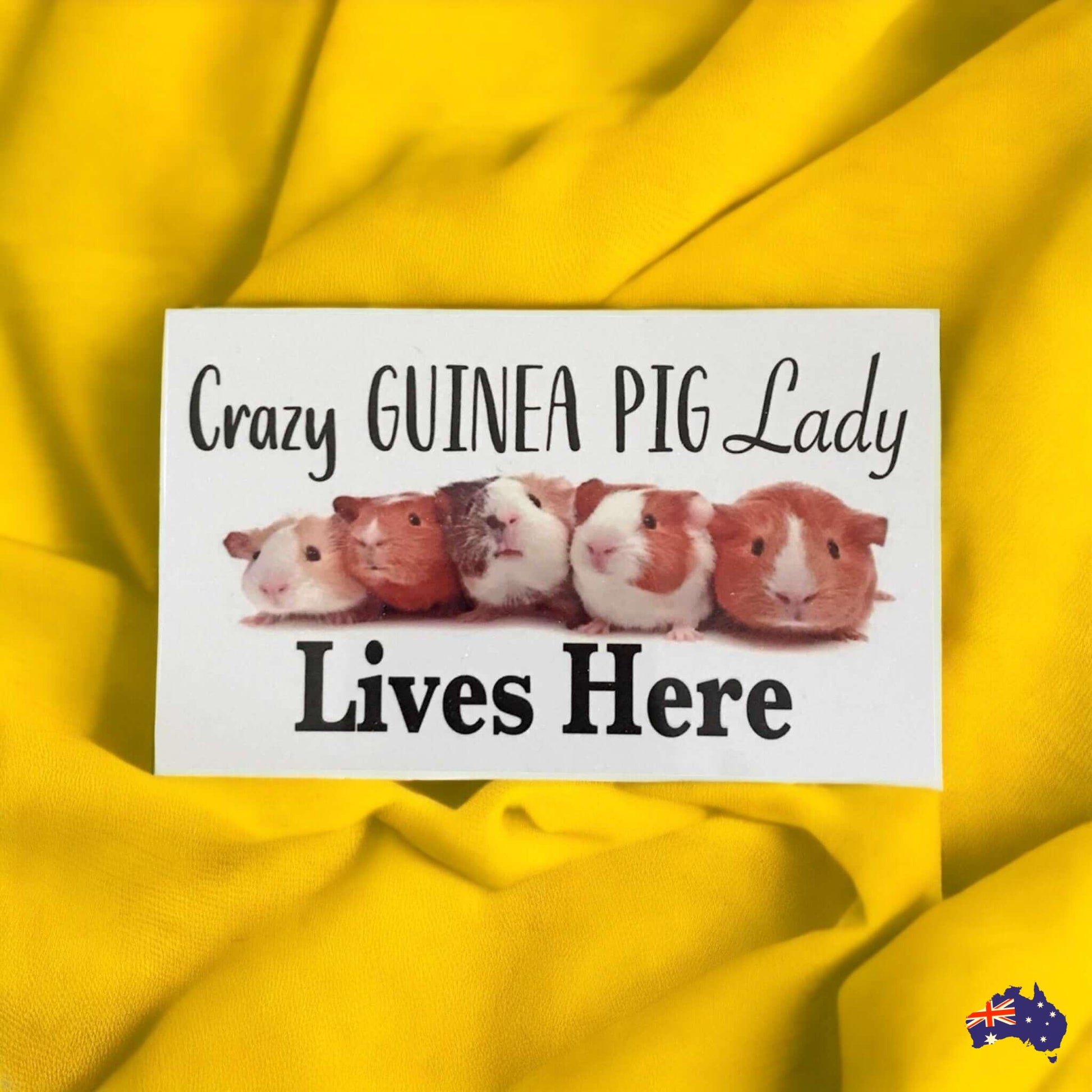 Crazy Guinea Pig Lady Lives Here Sign - The Renmy Store Homewares & Gifts 