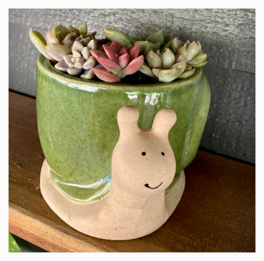 Snail Plant Pot Planter Olive Country - The Renmy Store Homewares & Gifts 