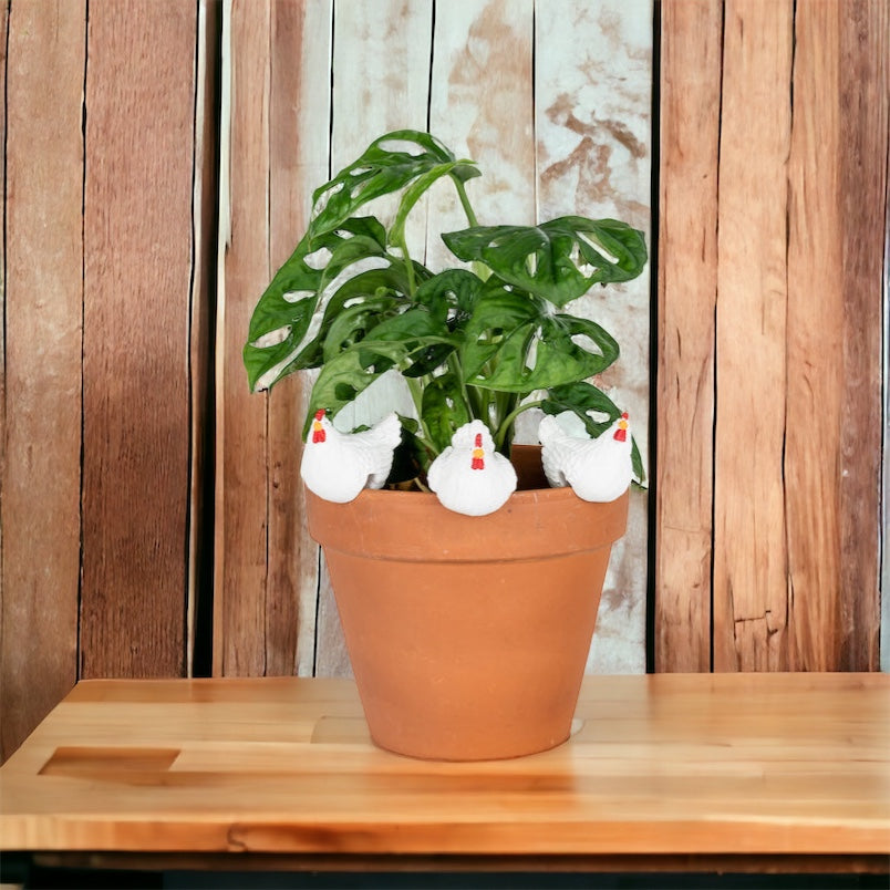 Chicken Hen Pot Sitter Hanger Planter Set of 3 White - The Renmy Store Homewares & Gifts 