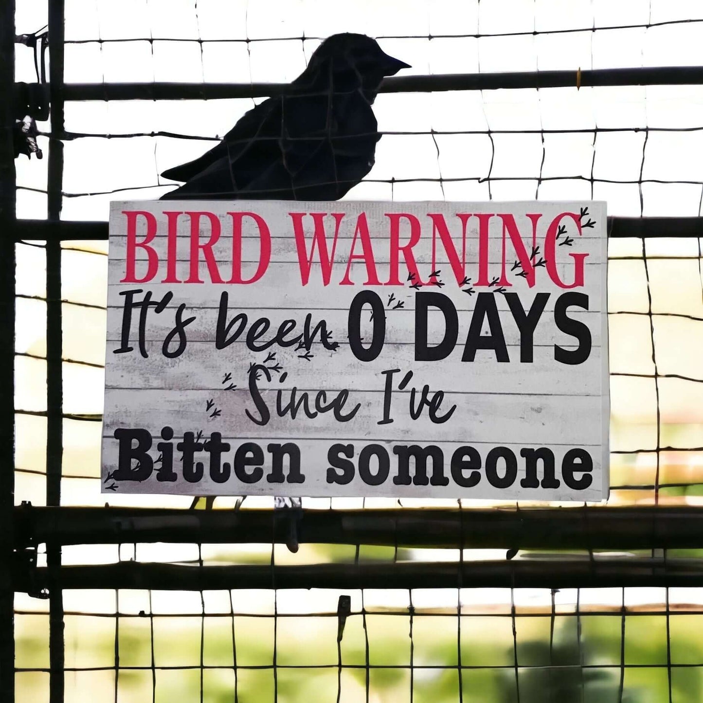 Warning Bird Biting Funny Sign - The Renmy Store Homewares & Gifts 