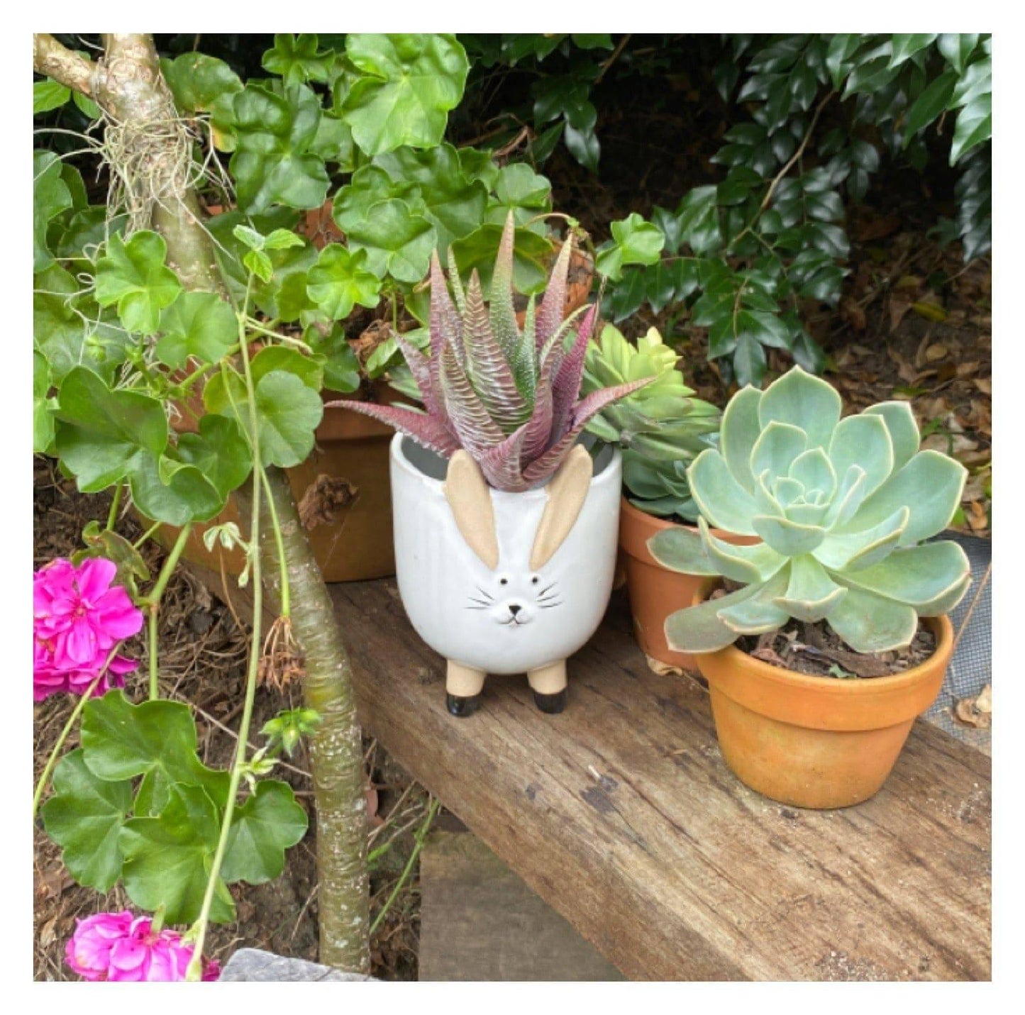 Rabbit Plant Pot Planter Shabby Chic - The Renmy Store Homewares & Gifts 