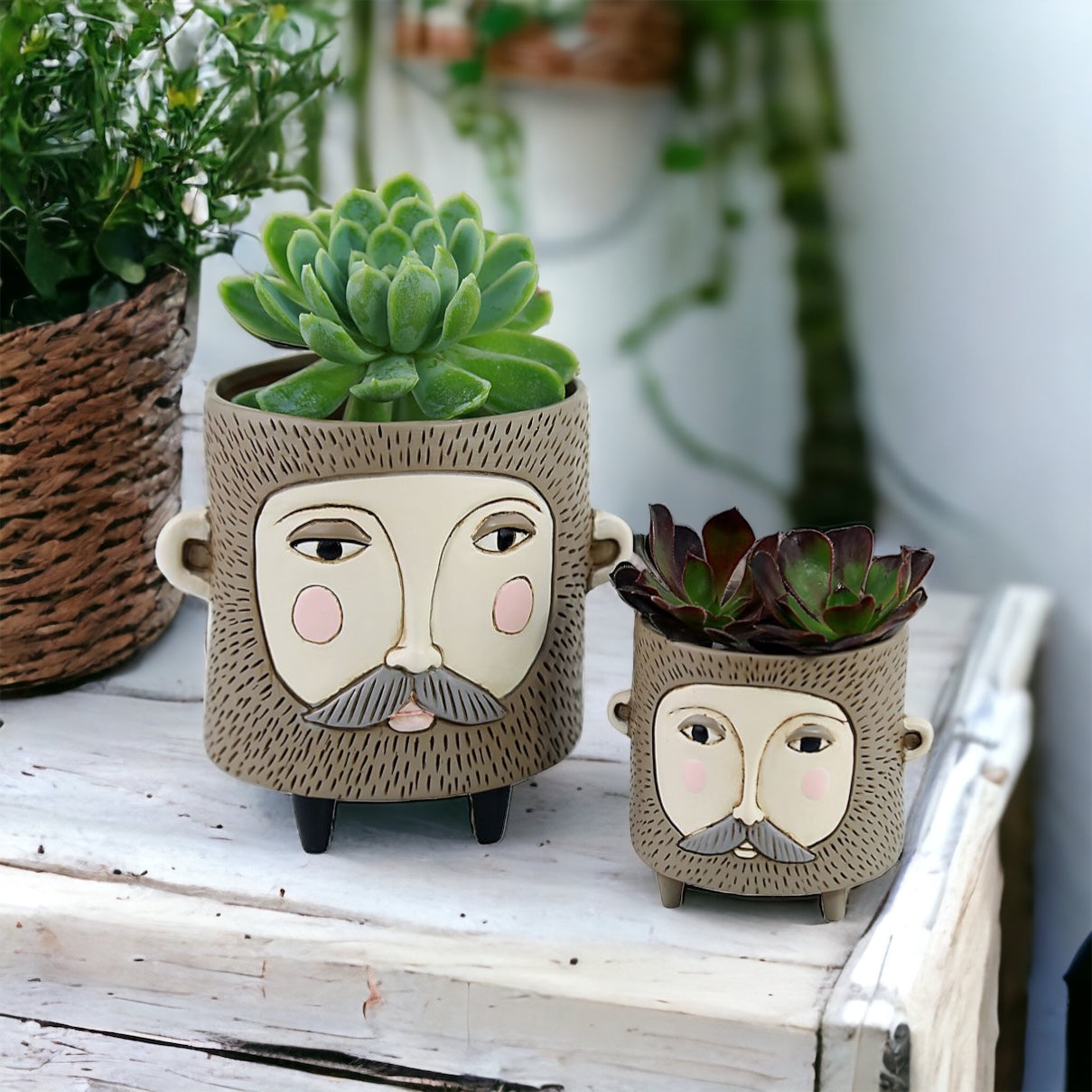 Pot Plant Planter Hairy Jack Funky Large - The Renmy Store Homewares & Gifts 