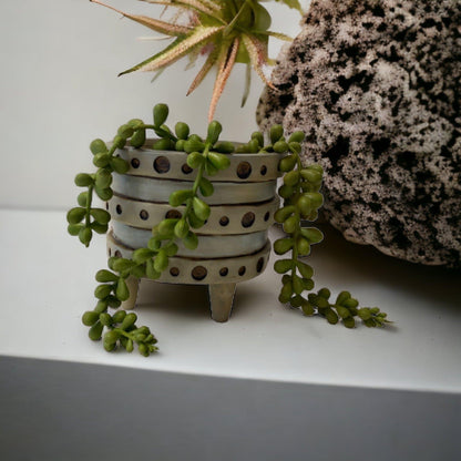 Pot Planter Funky Vera Dot Grey Blue - The Renmy Store Homewares & Gifts 