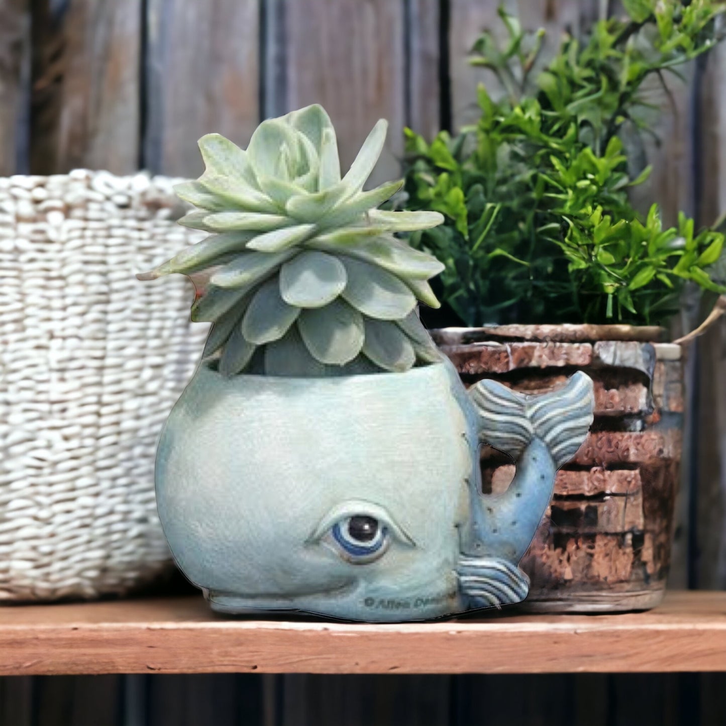 Whale Blue Funky Pot Planter Small - The Renmy Store Homewares & Gifts 