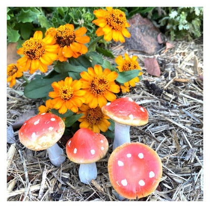 Mushroom Set of 4 Garden Fairy Toadstool Stake - The Renmy Store Homewares & Gifts 