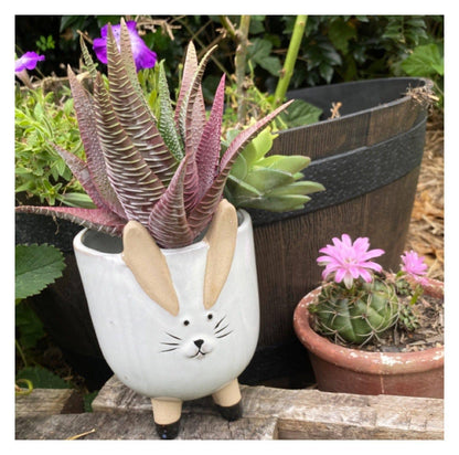 Rabbit Plant Pot Planter Shabby Chic - The Renmy Store Homewares & Gifts 