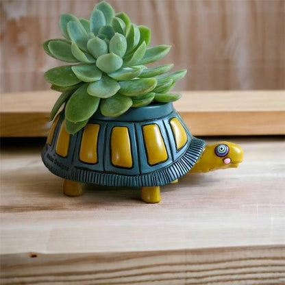 Turtle Pot Planter Small Flipper - The Renmy Store Homewares & Gifts 