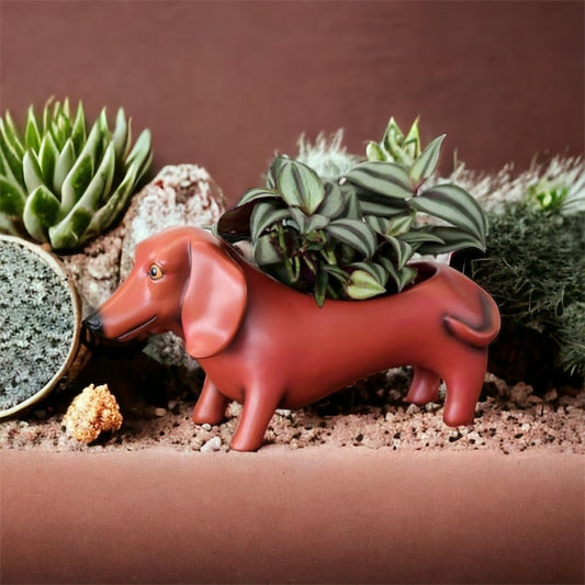 Dachshund Dog Brown Oscar Large Pot Planter - The Renmy Store Homewares & Gifts 