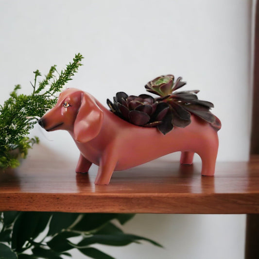 Dachshund Dog Tan Pot Planter Small - The Renmy Store Homewares & Gifts 