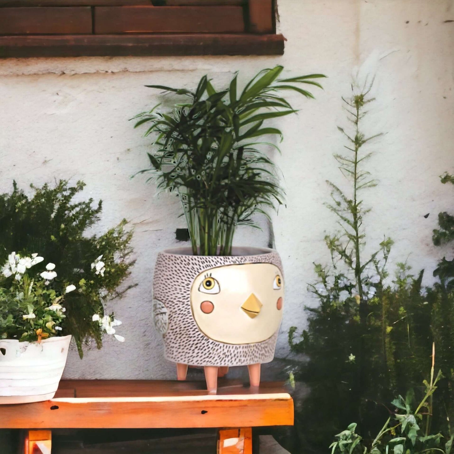 Bird Birdie Pot Planter Funky Pot Plant Pink - The Renmy Store Homewares & Gifts 