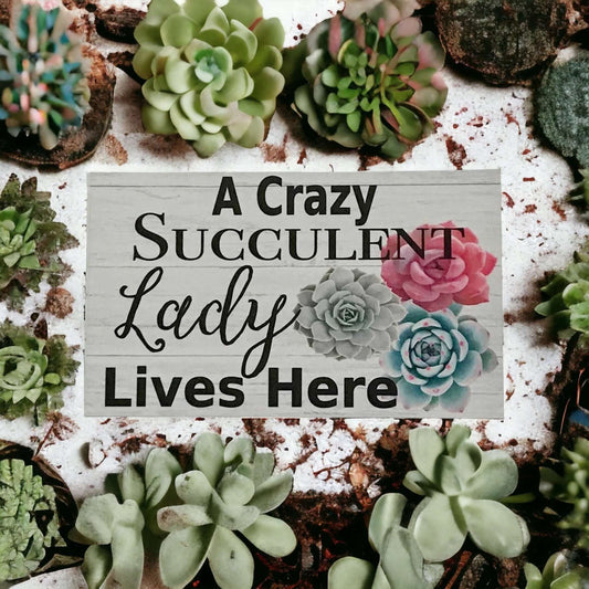 Crazy Succulent Lady Lives Here Sign - The Renmy Store Homewares & Gifts 