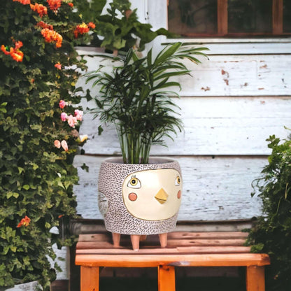 Bird Birdie Pot Planter Funky Pot Plant Pink - The Renmy Store Homewares & Gifts 