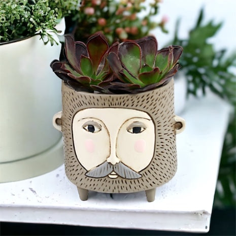 Pot Plant Planter Hairy Jack Funky - The Renmy Store Homewares & Gifts 