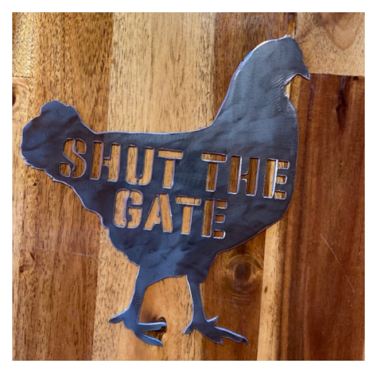 Chicken Shut The Gate Steel Metal Sign - The Renmy Store Homewares & Gifts 