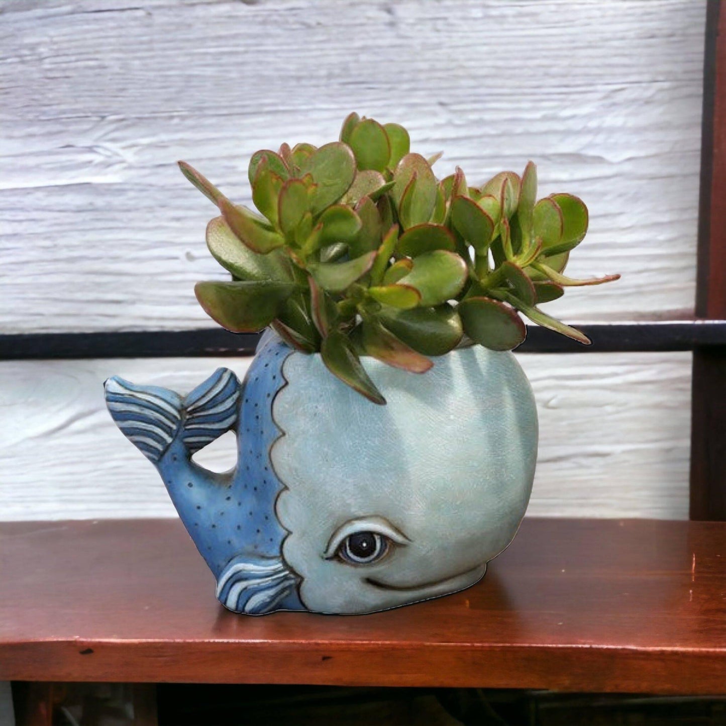 Whale Funky Pot Planter Large - The Renmy Store Homewares & Gifts 