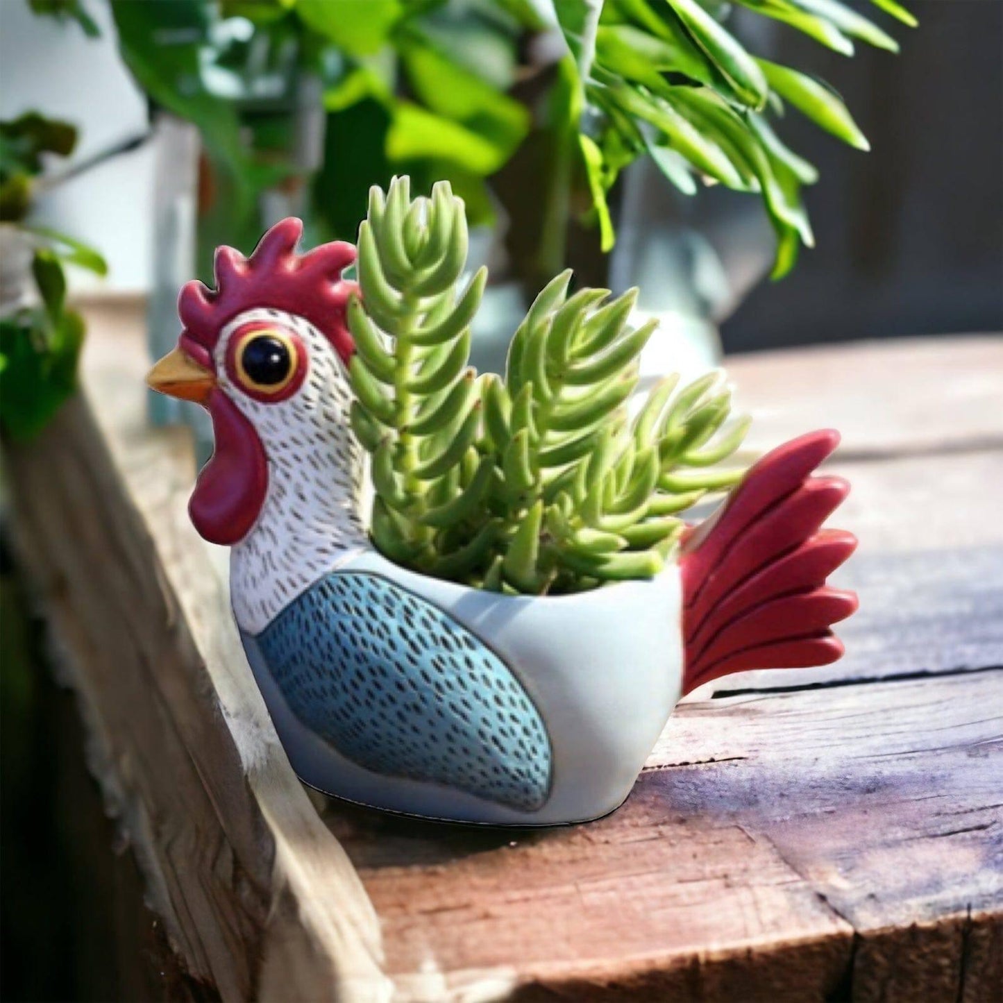 Rooster Blue Pot Planter Plant Small - The Renmy Store Homewares & Gifts 