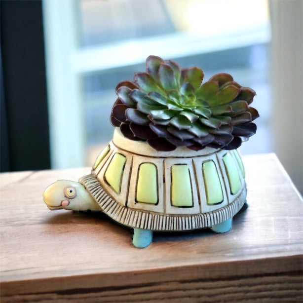 Turtle Pot Planter Small Garden - The Renmy Store Homewares & Gifts 