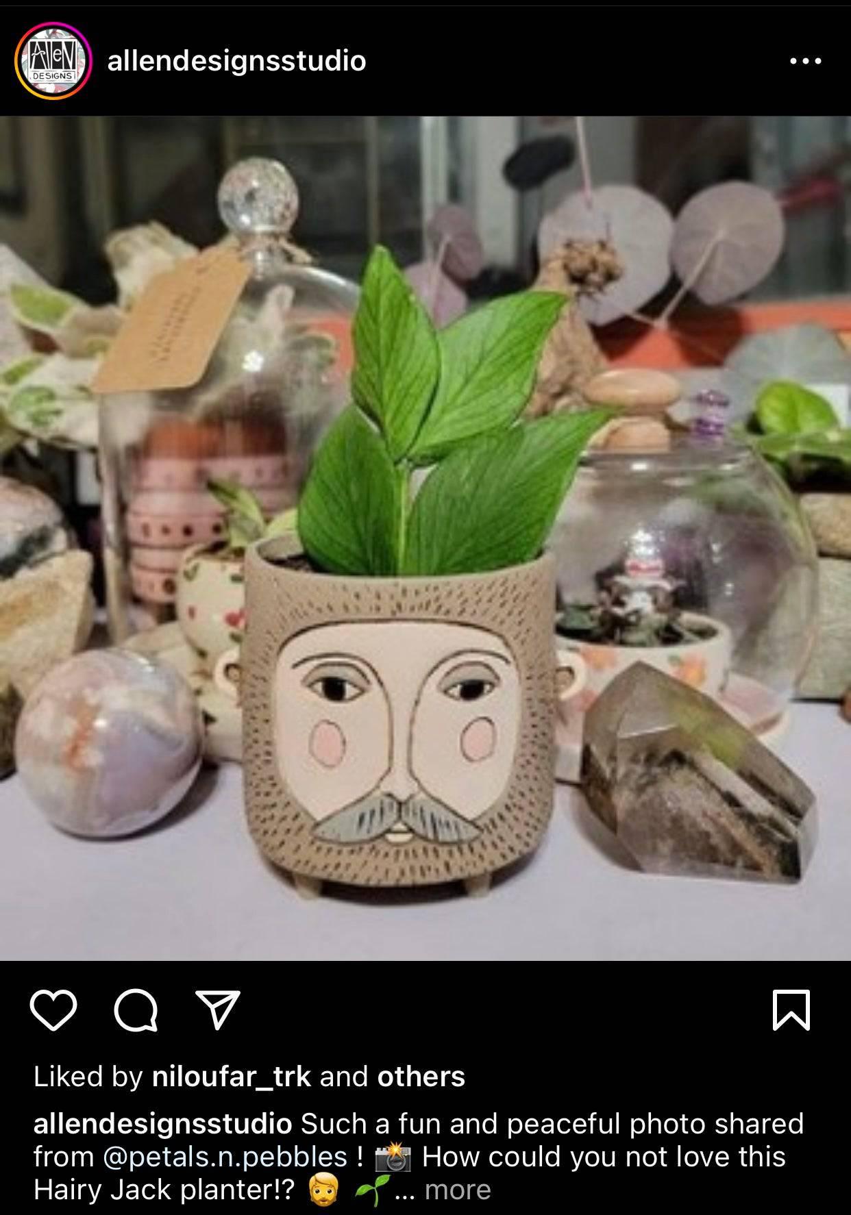 Pot Plant Planter Hairy Jack Funky - The Renmy Store Homewares & Gifts 