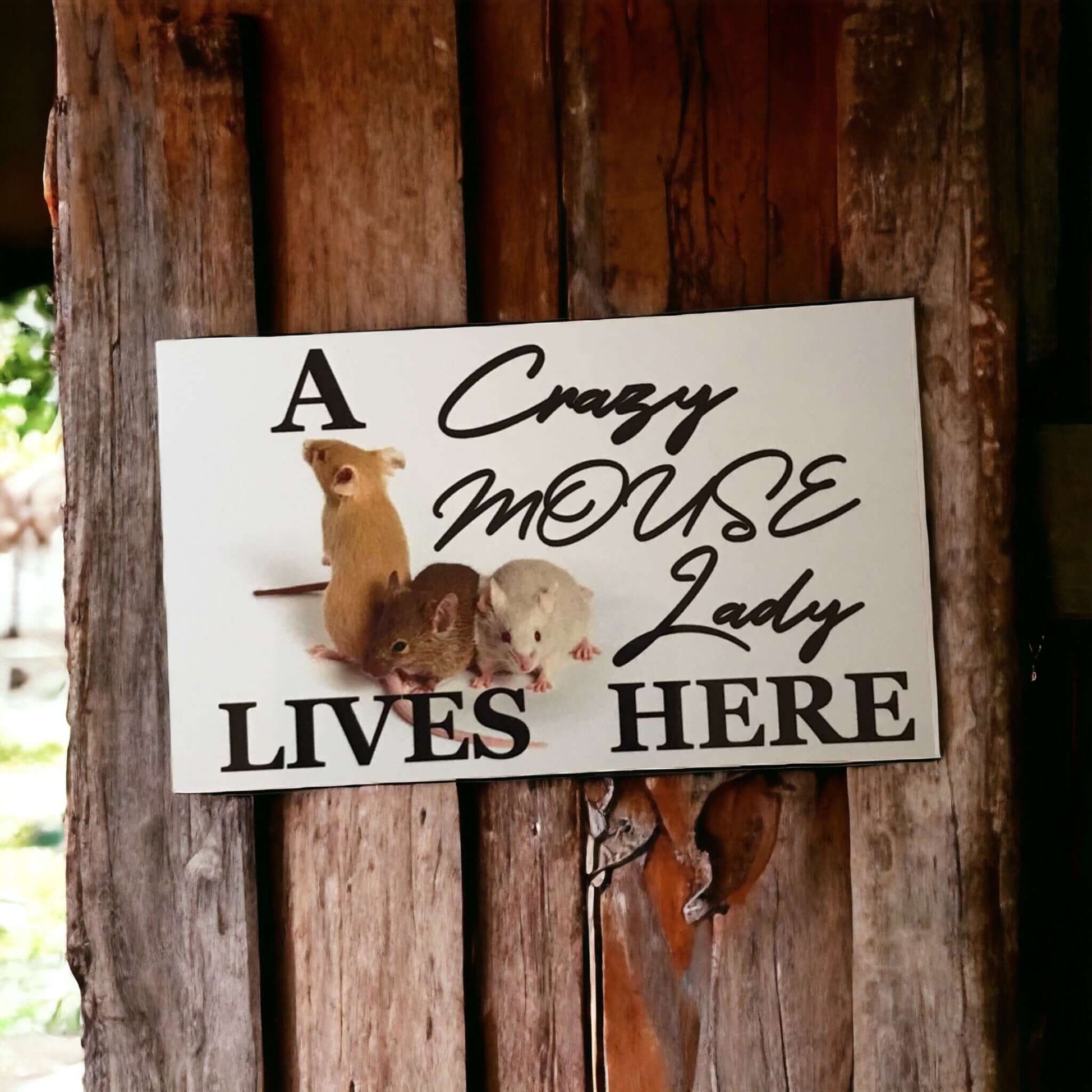 Crazy Mouse Lady Lives Here Sign - The Renmy Store Homewares & Gifts 