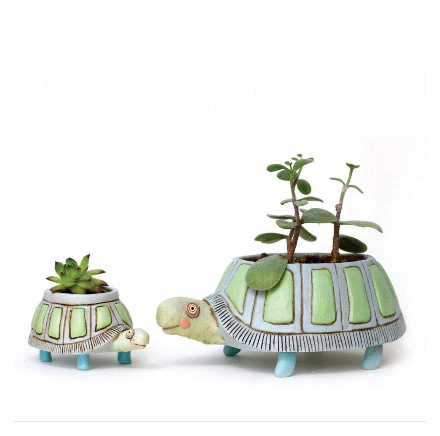 Turtle Pot Planter Small Garden - The Renmy Store Homewares & Gifts 