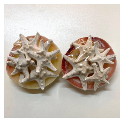 Ten Starfish Collection in Shell - The Renmy Store Homewares & Gifts 