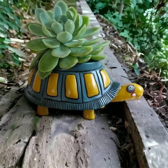 Turtle Pot Planter Small Flipper - The Renmy Store Homewares & Gifts 