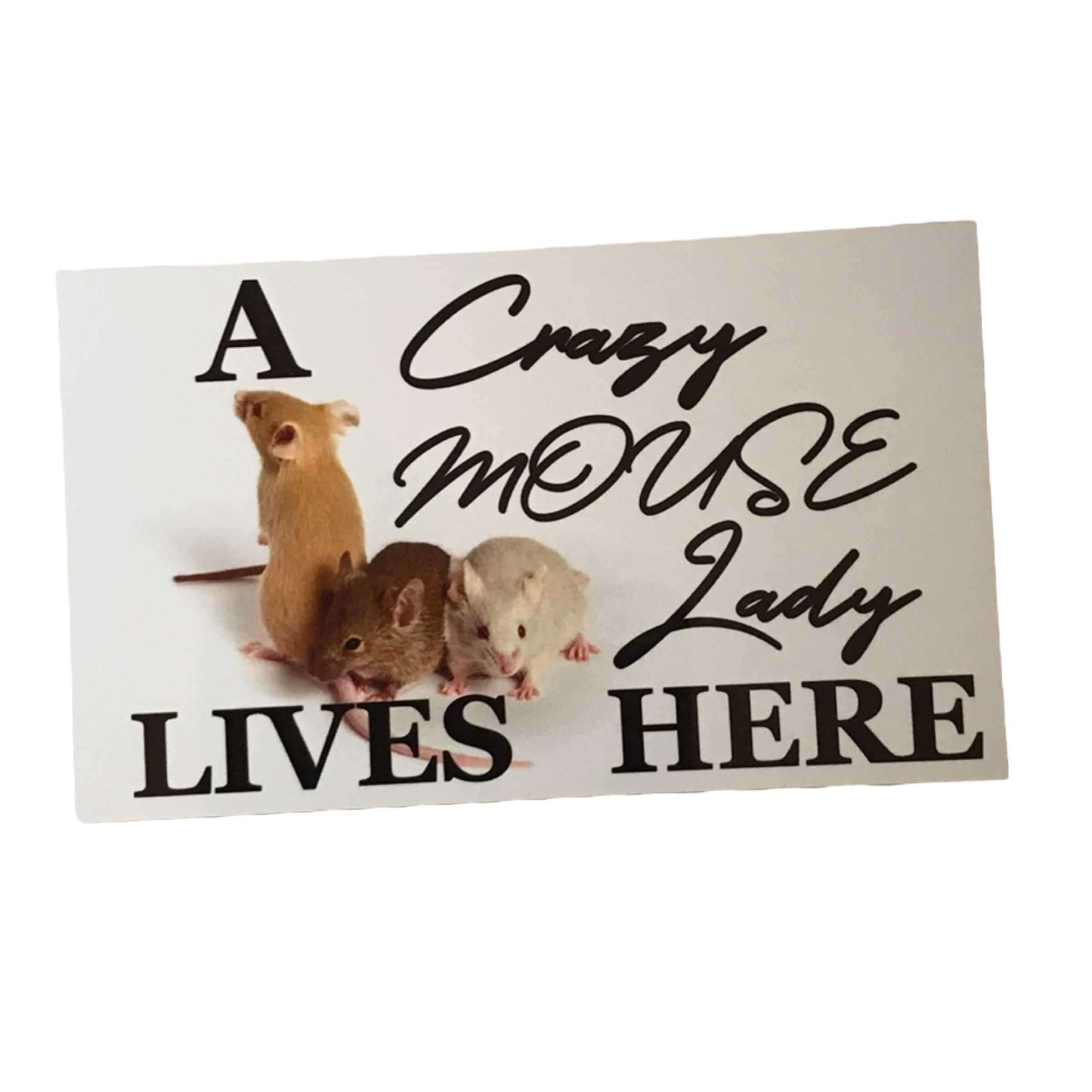 Crazy Mouse Lady Lives Here Sign - The Renmy Store Homewares & Gifts 