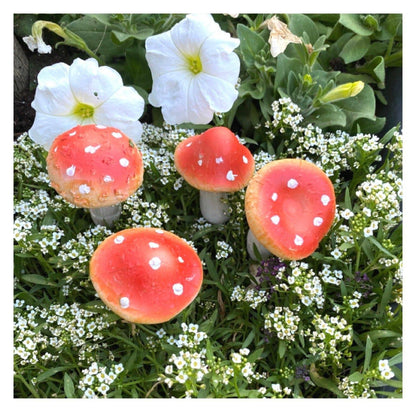 Mushroom Set of 4 Garden Fairy Toadstool Stake - The Renmy Store Homewares & Gifts 