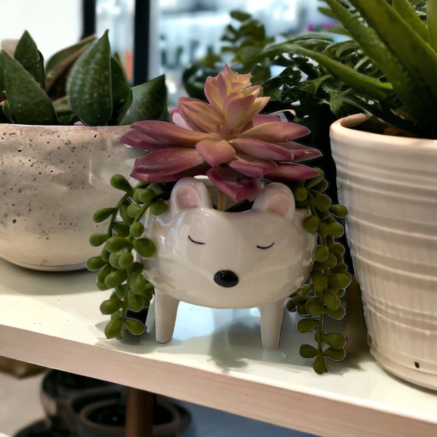 Mouse Pot Plant Planter Garden - The Renmy Store Homewares & Gifts 