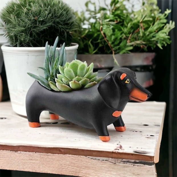 Dachshund Dog Otis Black Large Pot Planter