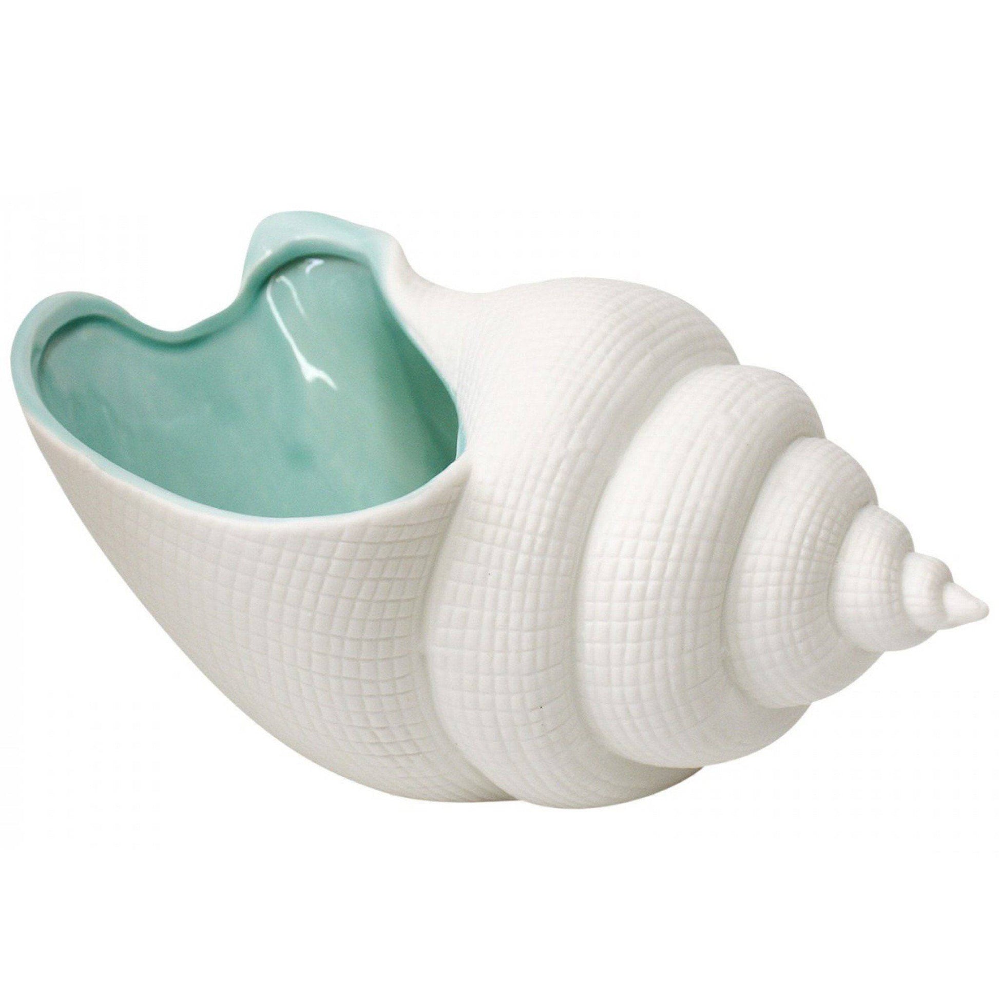 Shell Coastal Tulip Décor - The Renmy Store Homewares & Gifts 