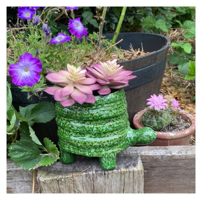 Turtle Plant Pot Planter Garden Green - The Renmy Store Homewares & Gifts 