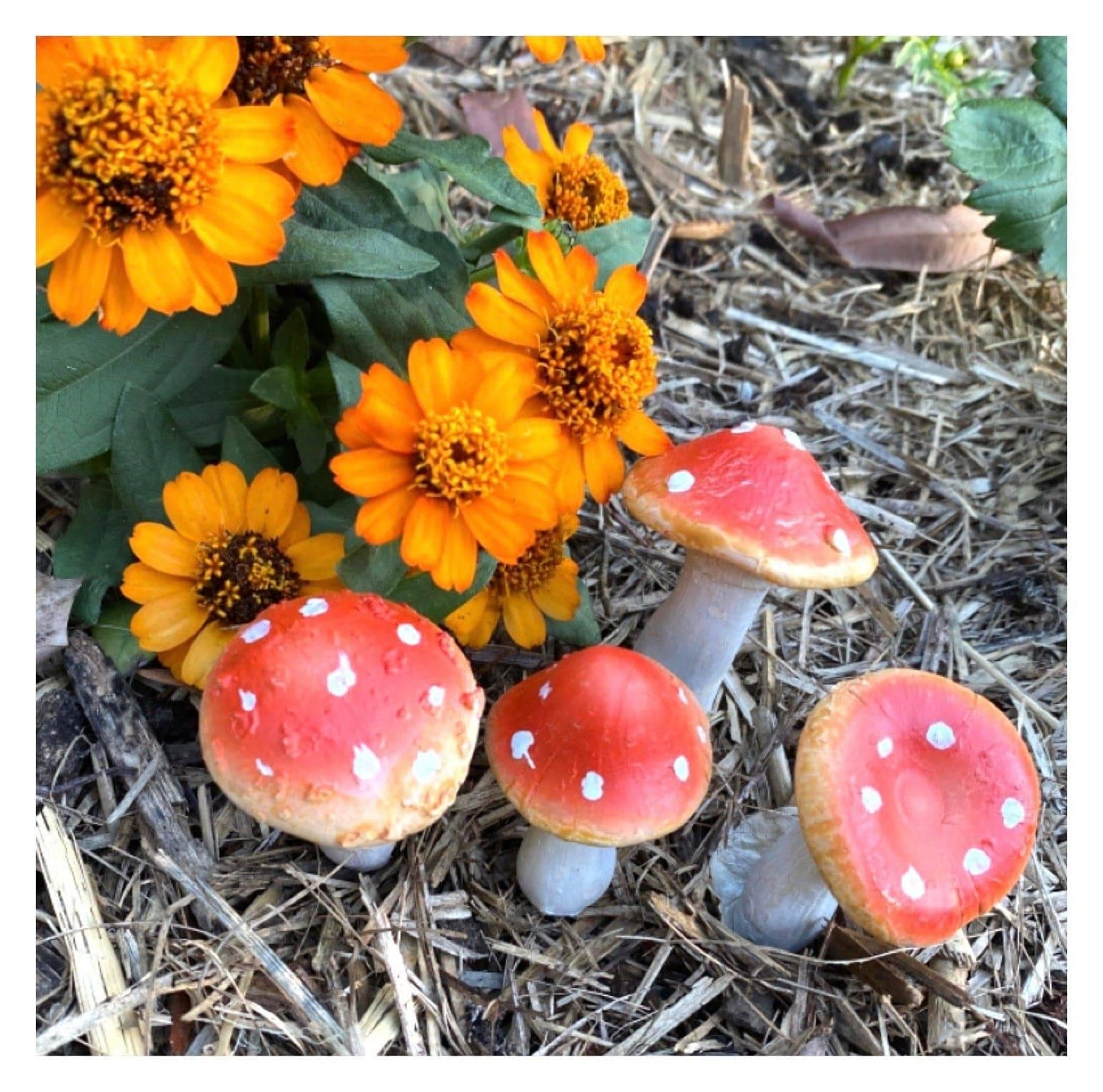 Mushroom Set of 4 Garden Fairy Toadstool Stake - The Renmy Store Homewares & Gifts 