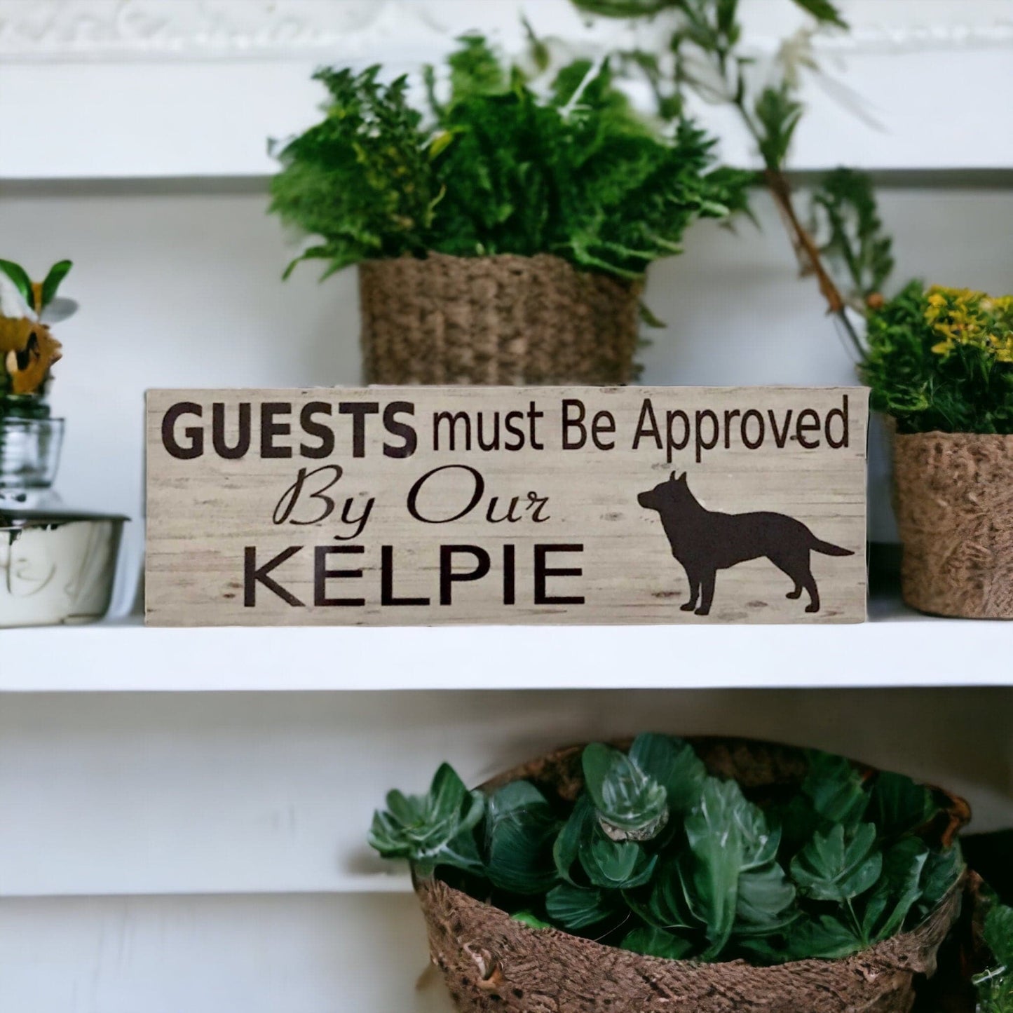 Kelpie Dog Guests Must Be Approved By Our Sign - The Renmy Store Homewares & Gifts 