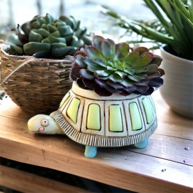 Turtle Pot Planter Small Garden - The Renmy Store Homewares & Gifts 