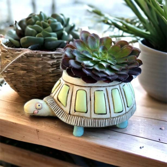 Turtle Pot Planter Small Garden - The Renmy Store Homewares & Gifts 