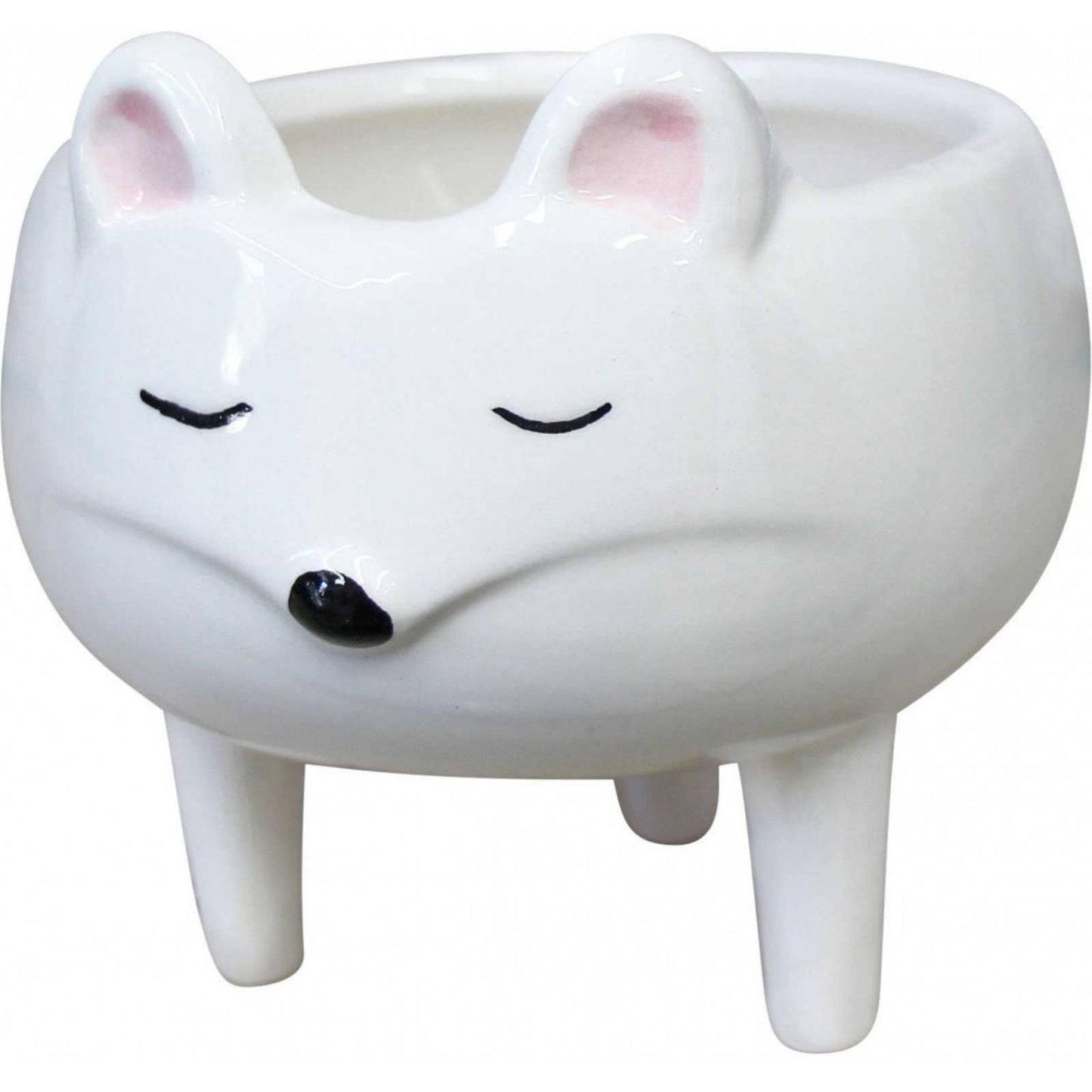 Mouse Pot Plant Planter Garden - The Renmy Store Homewares & Gifts 