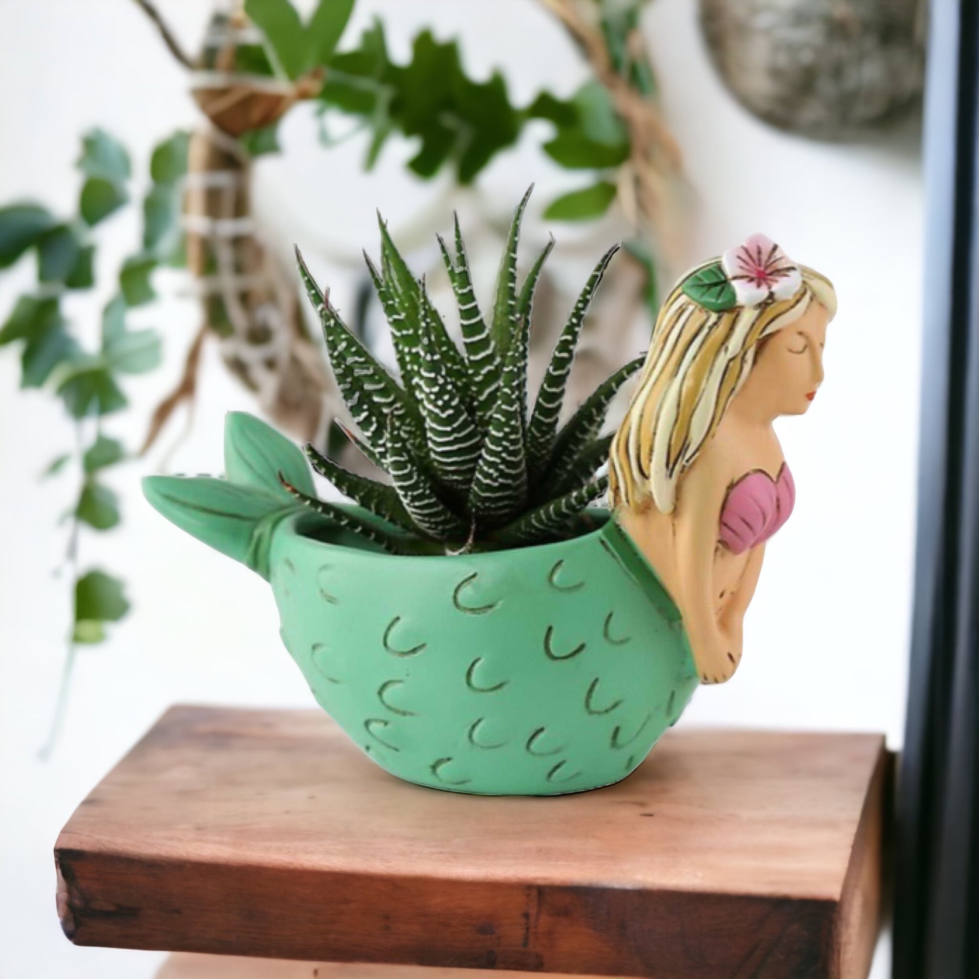 Mermaid Funky Pot Plant Planter - The Renmy Store Homewares & Gifts 