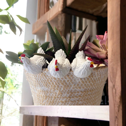 Chicken Hen Pot Sitter Hanger Planter Set of 3 White - The Renmy Store Homewares & Gifts 