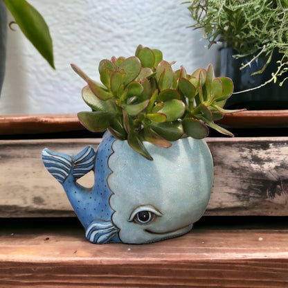 Whale Funky Pot Planter Large - The Renmy Store Homewares & Gifts 