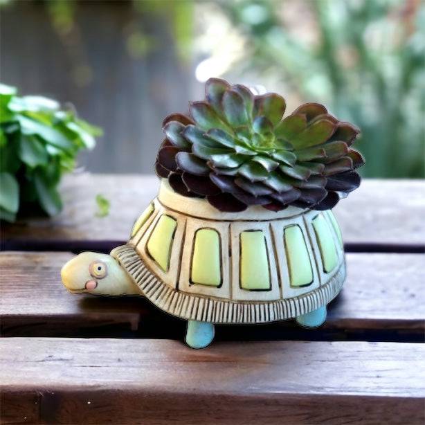 Turtle Pot Planter Small Garden - The Renmy Store Homewares & Gifts 