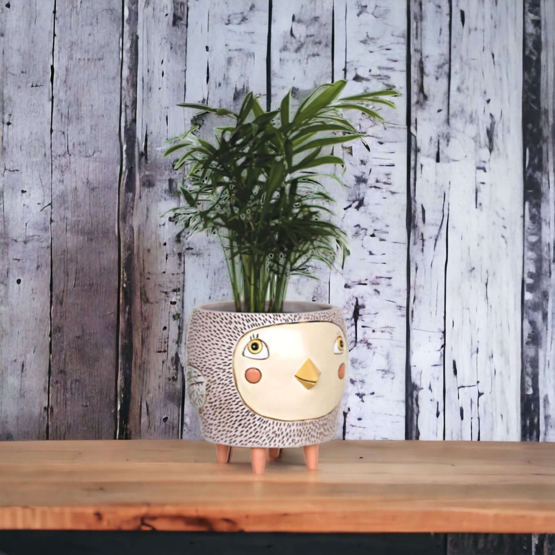 Bird Birdie Pot Planter Funky Pot Plant Pink - The Renmy Store Homewares & Gifts 