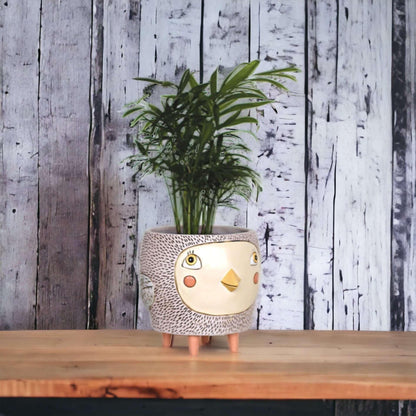 Bird Birdie Pot Planter Funky Pot Plant Pink - The Renmy Store Homewares & Gifts 