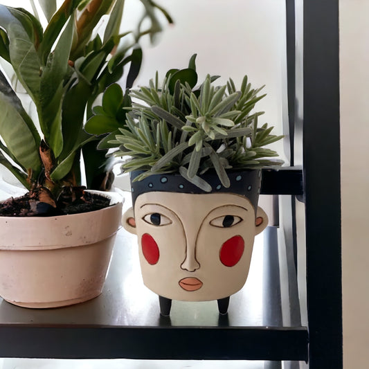 Pot Plant Planter Polly - The Renmy Store Homewares & Gifts 
