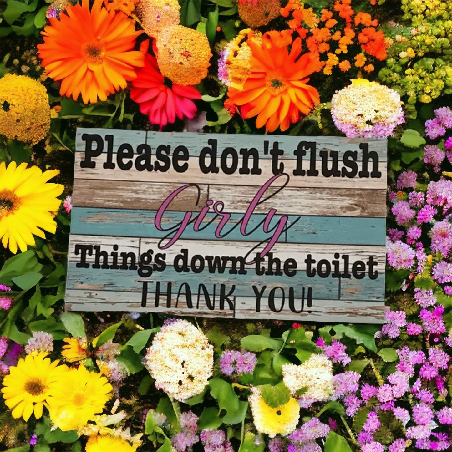 Toilet Don’t Flush Girly Things Down Sign - The Renmy Store Homewares & Gifts 