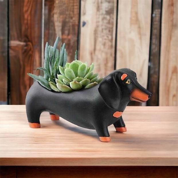 Dachshund Dog Otis Black Large Pot Planter - The Renmy Store Homewares & Gifts 