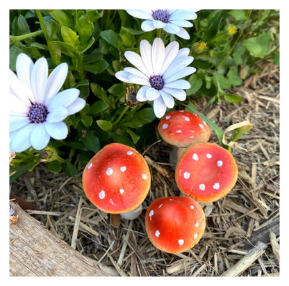 Mushroom Set of 4 Garden Fairy Toadstool Stake - The Renmy Store Homewares & Gifts 